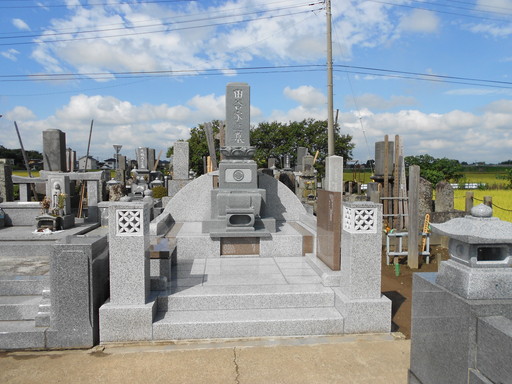 8_DSCN5158
