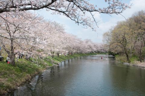 福岡堰と小名浜｜山崎石材店近くの観光スポット｜デザイン墓石・お墓の購入・販売なら茨城県の山﨑石材店